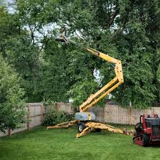 Best Emergency Tree Removal  in Lake Lifornia, CA